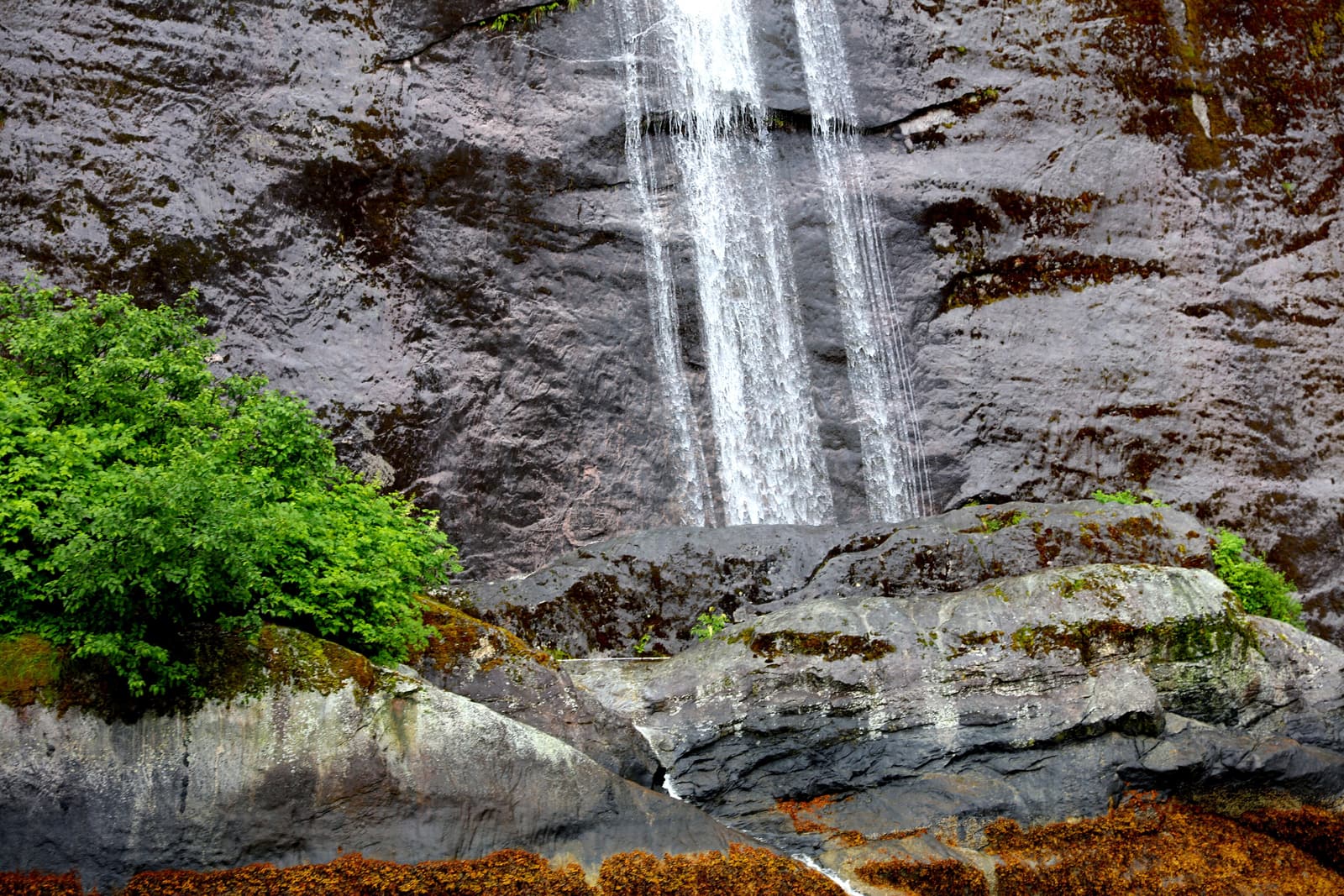 A waterfall spilling down a granite wall in Misty Fjords National Monument