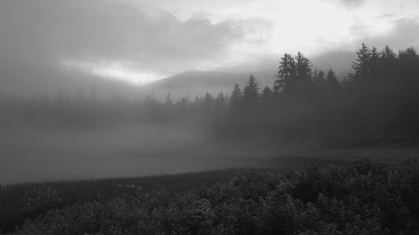 Mist hanging over Ward Lake and the surrounding forest at twilight