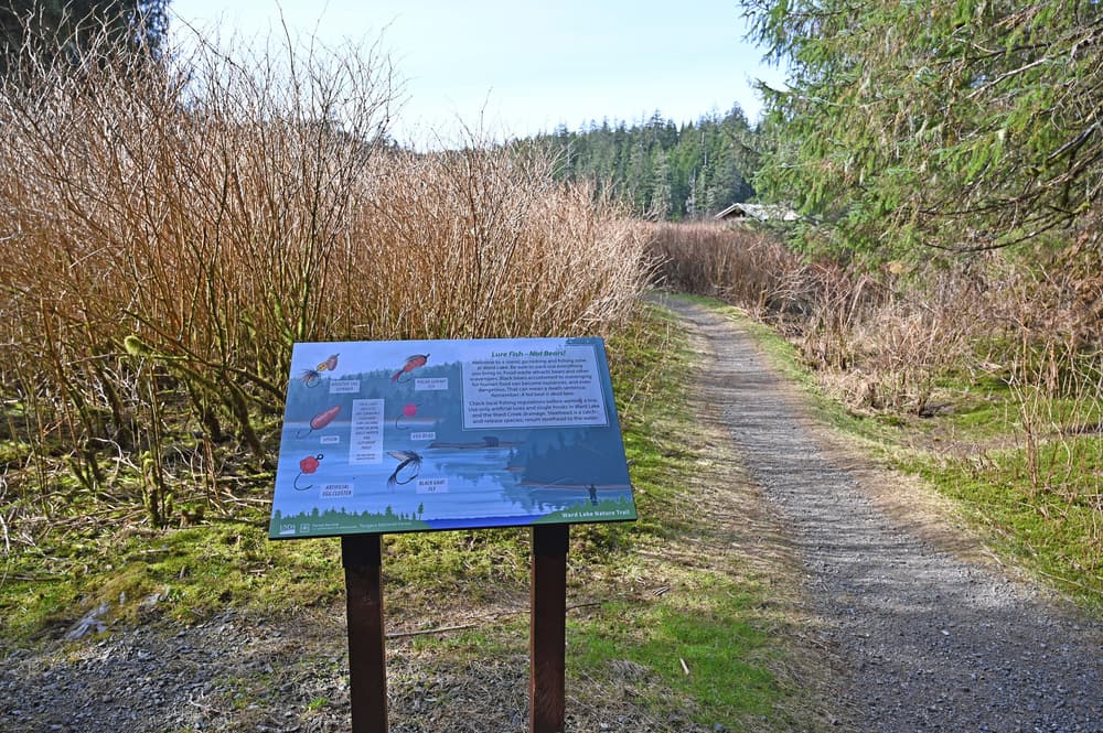 A gravel trail through the Tongass National Forest near Ketchikan