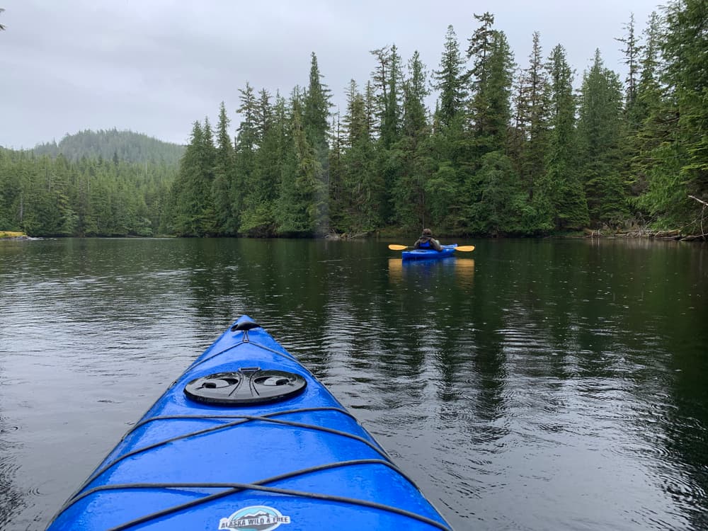 Sea kayakers on calm water beside a forested shore in the Tongass National Forest